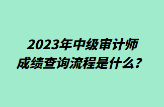 2023年中級(jí)審計(jì)師成績(jī)查詢流程是什么？