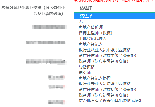 經濟領域其他職業(yè)資格選擇