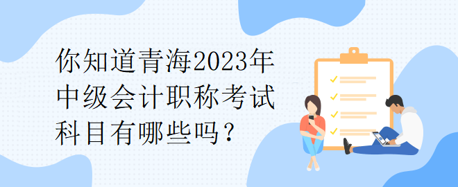 你知道青海2023年中級(jí)會(huì)計(jì)職稱考試科目有哪些嗎？