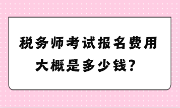 稅務(wù)師考試報名費用大概是多少錢？