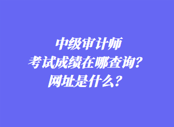 中級審計師考試成績在哪查詢？網(wǎng)址是什么？