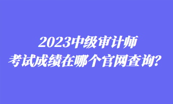 2023中級(jí)審計(jì)師考試成績?cè)谀膫€(gè)官網(wǎng)查詢？