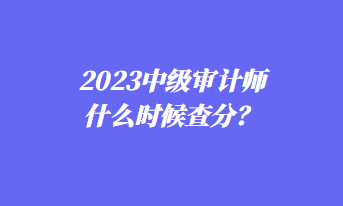 2023中級審計師什么時候查分？