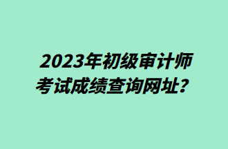 2023年初級(jí)審計(jì)師考試成績(jī)查詢網(wǎng)址？