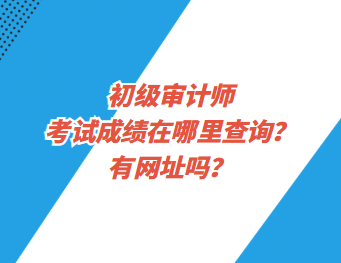 初級(jí)審計(jì)師考試成績(jī)?cè)谀睦锊樵?xún)？有網(wǎng)址嗎？