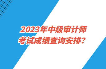 2023年中級(jí)審計(jì)師考試成績(jī)查詢安排？