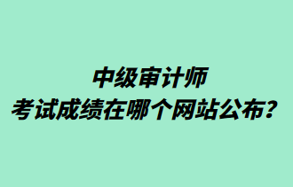 中級(jí)審計(jì)師考試成績(jī)?cè)谀膫€(gè)網(wǎng)站公布？