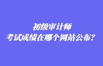 初級審計(jì)師考試成績在哪個(gè)網(wǎng)站公布？