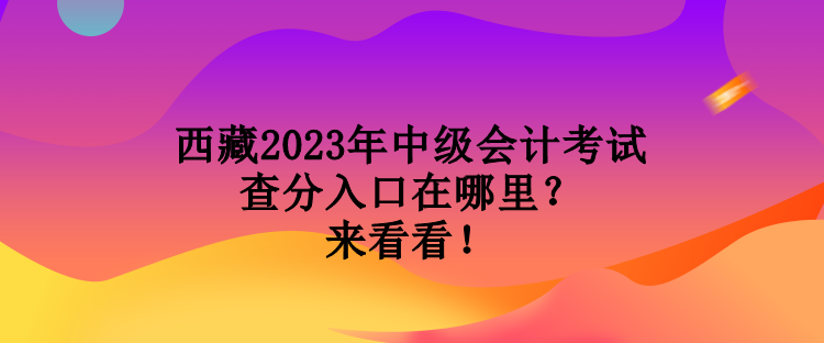 西藏2023年中級(jí)會(huì)計(jì)考試查分入口在哪里？來(lái)看看！