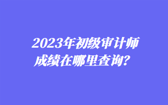 2023年初級(jí)審計(jì)師成績(jī)?cè)谀睦锊樵?xún)？