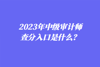 2023年中級審計(jì)師查分入口是什么？