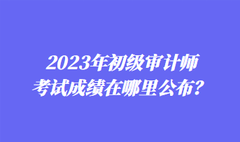 2023年初級審計師考試成績在哪里公布？