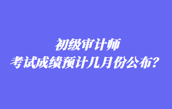 初級(jí)審計(jì)師考試成績(jī)預(yù)計(jì)幾月份公布？