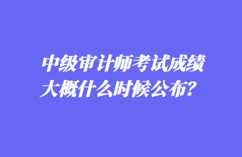 中級(jí)審計(jì)師考試成績(jī)大概什么時(shí)候公布？