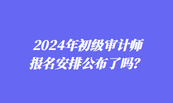 2024年初級審計師報名安排公布了嗎？