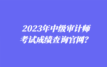 2023年中級(jí)審計(jì)師考試成績(jī)查詢官網(wǎng)？