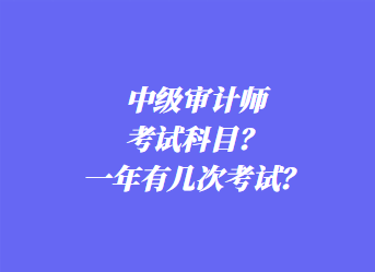 中級(jí)審計(jì)師考試科目？一年有幾次考試？