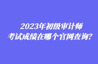 2023年初級(jí)審計(jì)師考試成績(jī)?cè)谀膫€(gè)官網(wǎng)查詢？