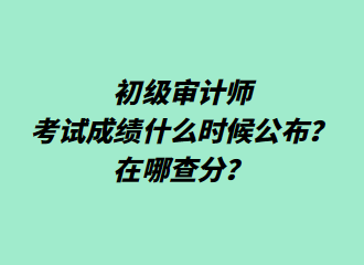 初級(jí)審計(jì)師考試成績(jī)什么時(shí)候公布？在哪查分？