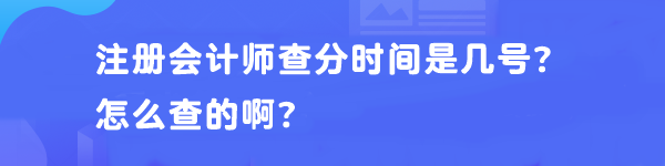 注冊(cè)會(huì)計(jì)師查分時(shí)間是幾號(hào)？怎么查的??？