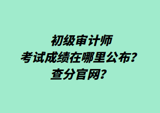 初級(jí)審計(jì)師考試成績(jī)?cè)谀睦锕?？查分官網(wǎng)？