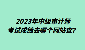 2023年中級審計(jì)師考試成績?nèi)ツ膫€網(wǎng)站查？