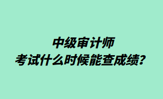 中級(jí)審計(jì)師考試什么時(shí)候能查成績(jī)？