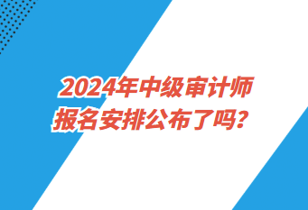 2024年中級審計師報名安排公布了嗎？