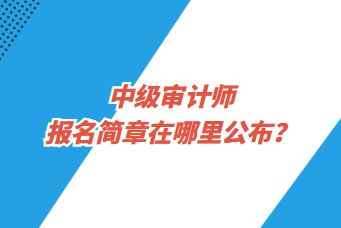 中級(jí)審計(jì)師報(bào)名簡(jiǎn)章在哪里公布？