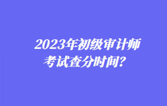 2023年初級審計師考試查分時間？