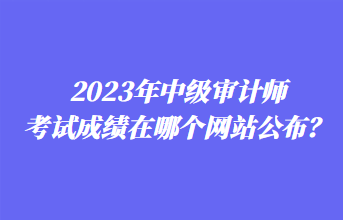 2023年中級審計師考試成績在哪個網(wǎng)站公布？