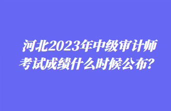 河北2023年中級審計師考試成績什么時候公布？