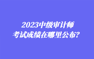 2023中級審計(jì)師考試成績在哪里公布？