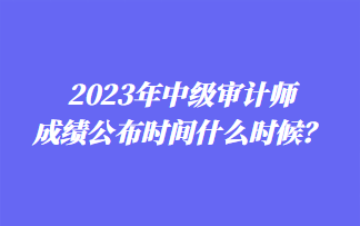 2023年中級(jí)審計(jì)師成績(jī)公布時(shí)間什么時(shí)候？