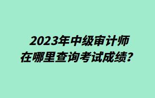 2023年中級(jí)審計(jì)師在哪里查詢(xún)考試成績(jī)？