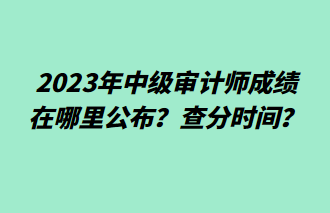 2023年中級審計(jì)師成績在哪里公布？查分時(shí)間？