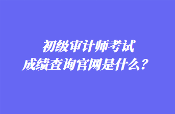 初級審計師考試成績查詢官網(wǎng)是什么？