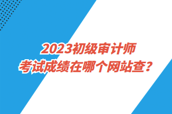 2023初級(jí)審計(jì)師考試成績(jī)?cè)谀膫€(gè)網(wǎng)站查？