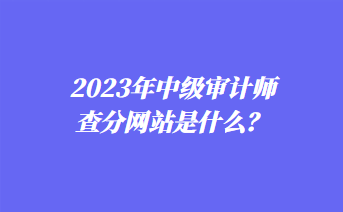 2023年中級(jí)審計(jì)師查分網(wǎng)站是什么？