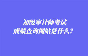 初級(jí)審計(jì)師考試成績(jī)查詢(xún)網(wǎng)站是什么？