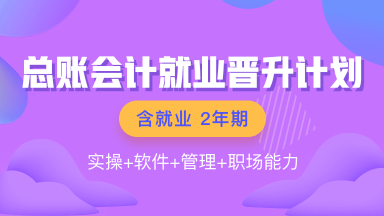 總賬會計就業(yè)晉升計劃