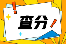 河南省2024年注會(huì)查分入口開(kāi)啦！快來(lái)查分！