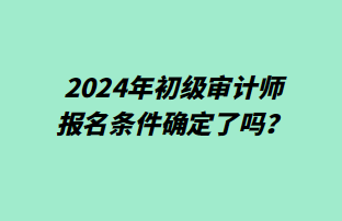 2024年初級審計師報名條件確定了嗎？