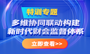 多維協(xié)同構(gòu)建新時(shí)代財(cái)會(huì)監(jiān)督體系