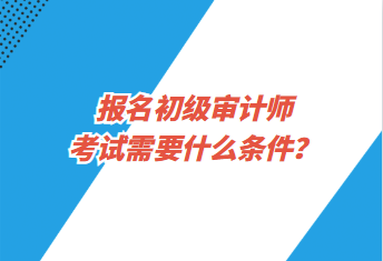 報(bào)名初級審計(jì)師考試需要什么條件？