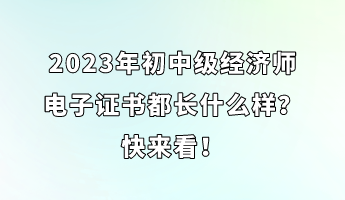 2023年初中級(jí)經(jīng)濟(jì)師電子證書(shū)都長(zhǎng)什么樣？快來(lái)看！