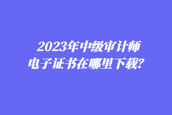 2023年中級審計師電子證書在哪里下載？