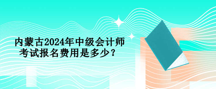 內(nèi)蒙古2024年中級(jí)會(huì)計(jì)師考試報(bào)名費(fèi)用是多少？