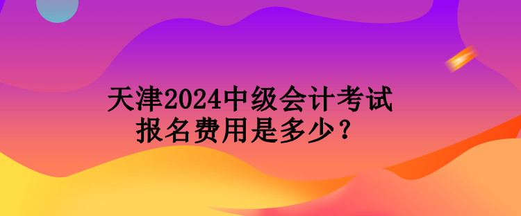 天津2024中級(jí)會(huì)計(jì)考試報(bào)名費(fèi)用是多少？