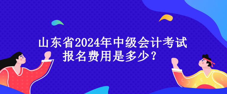 山東省2024年中級(jí)會(huì)計(jì)考試報(bào)名費(fèi)用是多少？